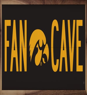 Fan Cave University Of Iowa